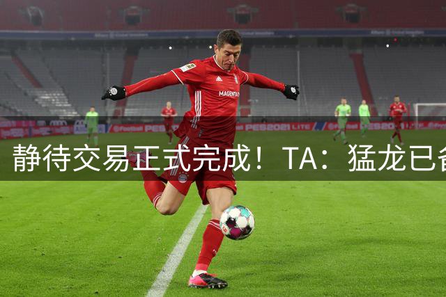 静待交易正式完成！TA：猛龙已备好一份丰厚的续约合同等小卡签字
